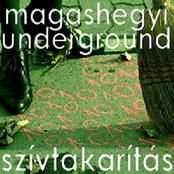 Salátaleves by Magashegyi Underground