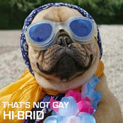 hi-brid