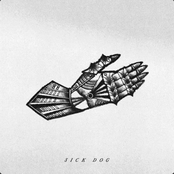 Sick Dog