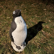 Alan Sparhawk Solo Band