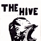 the hive