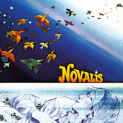Dronsz by Novalis