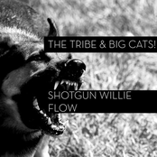 Shotgun Willie Flow