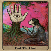 Feed The Hand