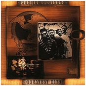 Fly Like An Eagle by The Neville Brothers