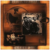 Family Groove by The Neville Brothers