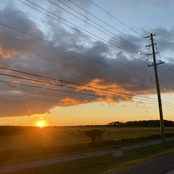 cat silhouette singles