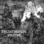 Lycanthropic Forest