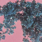 Manilla in the Claws of Light