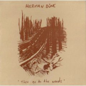 I'll Come Back When I Come Back by Herman Düne