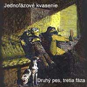 Cesta by Jednofázové Kvasenie