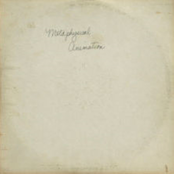 Metaphysical Animation