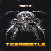 Tigerbeetle