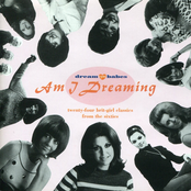 Dream Babes, Vol. 1: Am I Dreaming?