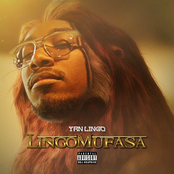 Lingo Mufasa