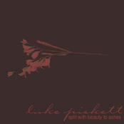 Split With Beauty To Ashes