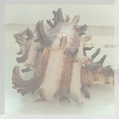 Taken From Inside [EP]