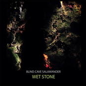 Wet Stone