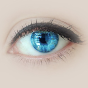 Det blåser ingen vinder inni huset