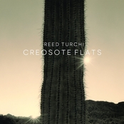 Creosote Flats