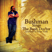 Johnny B Goode by Bushman