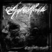 Entre Corpos e Cinzas