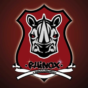 rhinox