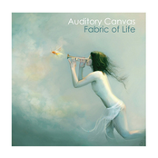 Fabrique by Auditory Canvas