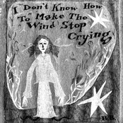 I Don't Know How to Make the Wind Stop Crying
