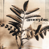 Shining by Amorphis