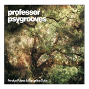 No Way Out by Professor Psygrooves