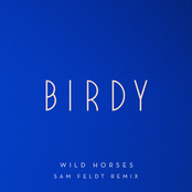 Wild Horses (Sam Feldt Remix) cover