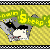 townsheeps