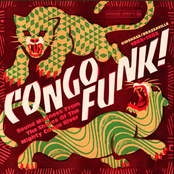 Congo Funk! - Sound Madness From The Shores Of The Mighty Congo River (Kinshasa/Brazzaville 1969-1982) (Analog Africa No.38)
