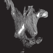 Self Preserved While The Bodies Float Up