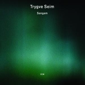 Dansante by Trygve Seim