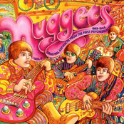 Nuggets: Original Artyfacts From The First Psychedelic Era, Vol. 4