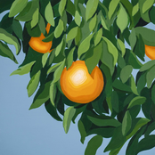 Tyler Ballgame: For The First Time, Again