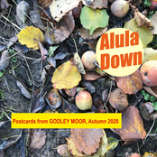 Postcards from Godley Moor, Autumn 2020