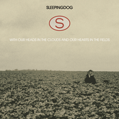 Sleeping Dog: With Our Heads in the Clouds and Our Hearts in the Fields
