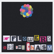 Flowers on the chasm