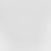 It Feels Right (Excerpt)