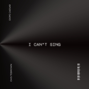 I Can't Sing