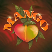 Mia Taylor: Mango