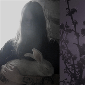 Five Thousand Rabbits