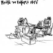 roots'n future hi-fi