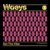 Set The Vibe