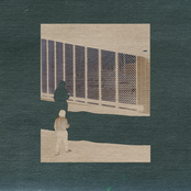 Flamingos in the Tree: as it falls into place