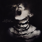 Screaming at the Dark