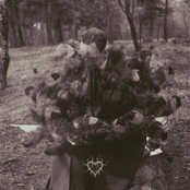 Klarhet i kaos - Single